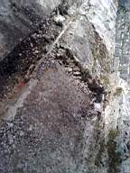 shannonbridge cap-1372.jpg